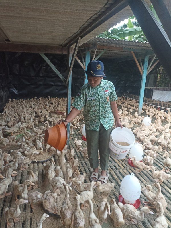 Brahma Canggih Wisnu Wardanah, Pelajar SMPN I beji Mempunya Bakat Biknis