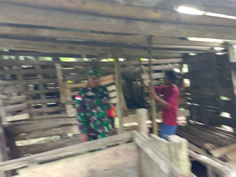 Babinsa Seret Ayon Komsos Bersama Peternak Kambing, Himbau Perhatikan Kebersihan Kandang