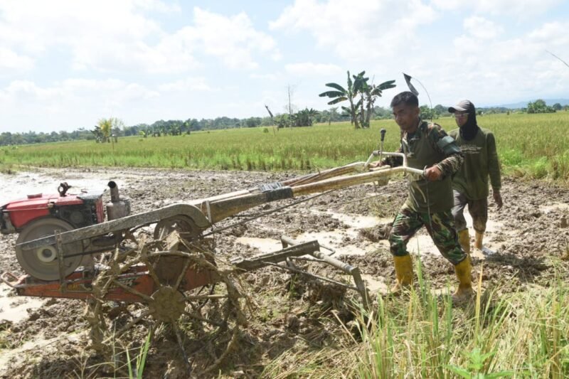 Sela Istirahat Siang, Satgas TMMD HST Bantu Warga Bajak Sawah