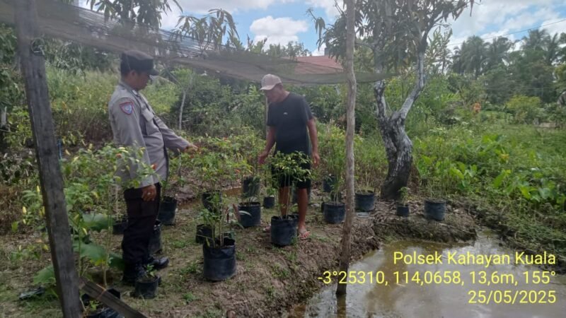 Giat dukungan terhadap program pemerintah Pusat tentang Ketahanan Pangan