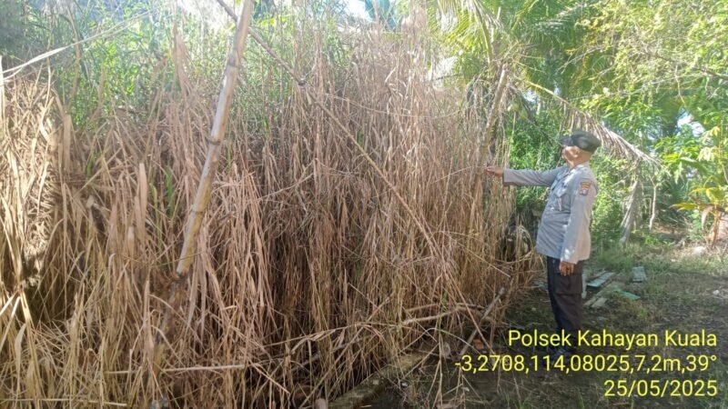 Personel Polsek Kahayan Kuala sambangi warga dan Memberikan himbauan Tentang Larangan Membakar hutan dan lahan.