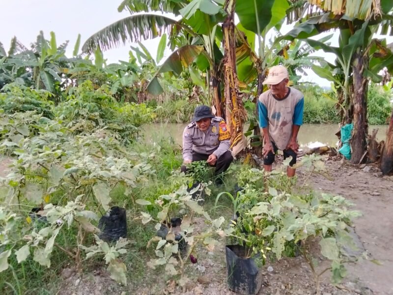 Polisi Ajak Warga Gagang Kepuhsari Balongbendo Kelola Lahan Kosong di Tanami Sayuran