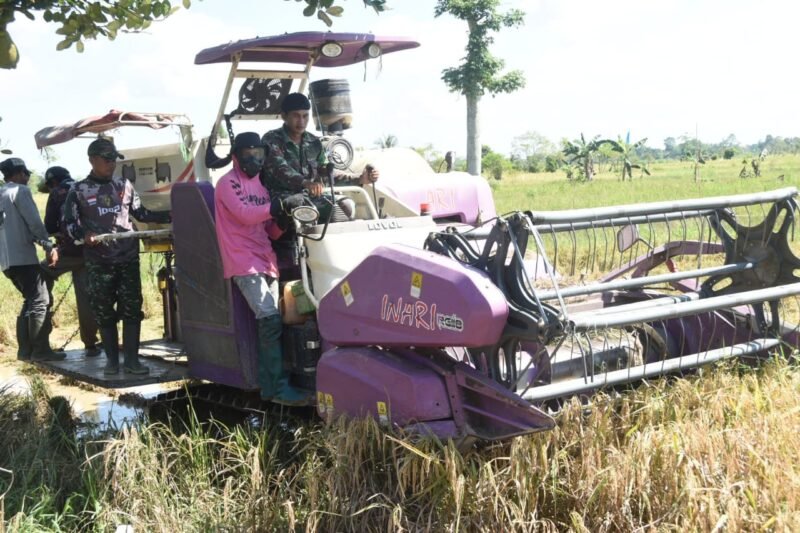 Manfaatkan Teknologi Pertanian, Satgas TMMD Bantu Panen Padi dengan Combine Harvester