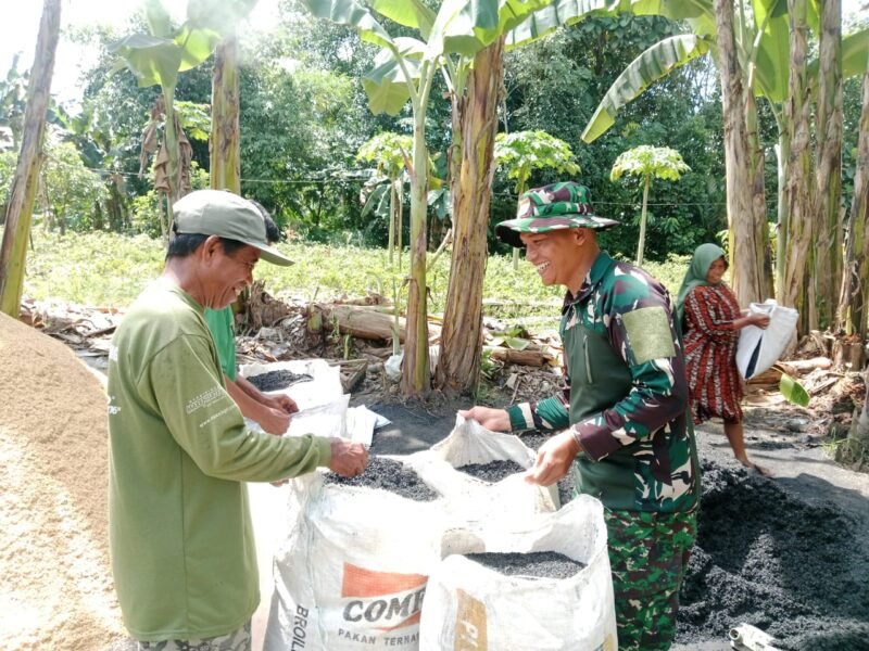 Sekam Padi Pengambau Hilir Luar Diolah Jadi Pupuk Kompos, Satgas TMMD Dampingi Warga