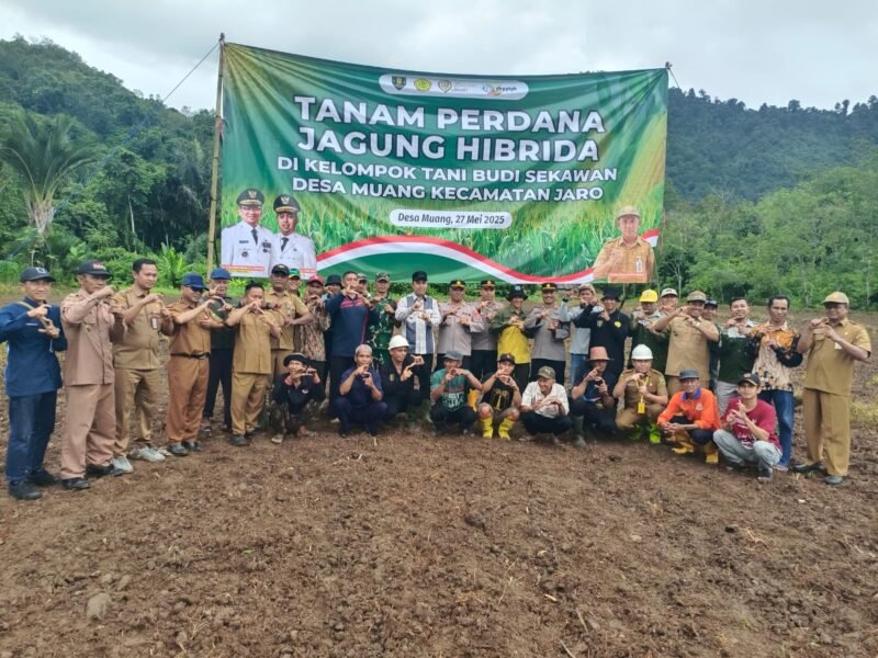 Sinergi TNI dan Pemda Tabalong Dukung Ketahanan Pangan Lewat Penanaman Jagung