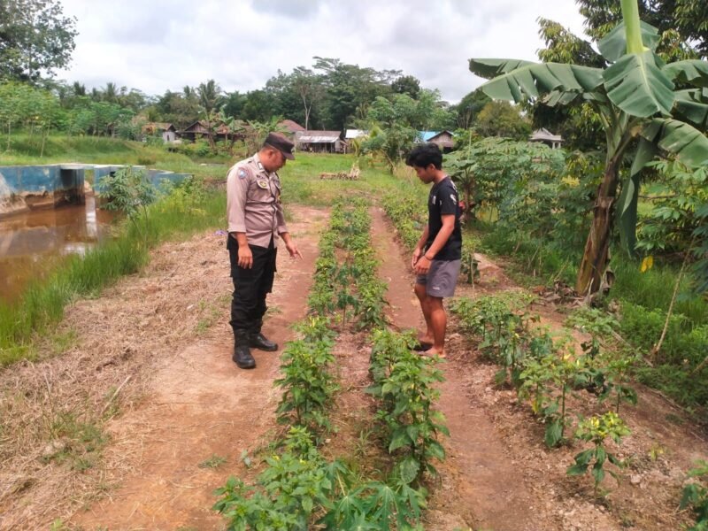SATBINMAS SAMBANG PETANI, SAMPAIKAN PESAN-PESAN KAMTIBMAS