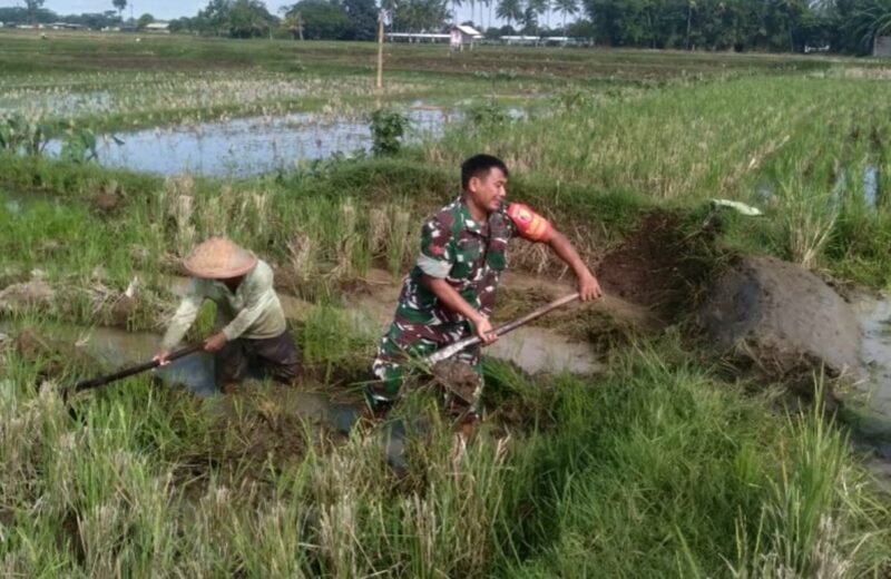 Tingkatkan Produktivitas Pertanian, Babinsa Desa Birowo Dampingi Petani Olah Lahan
