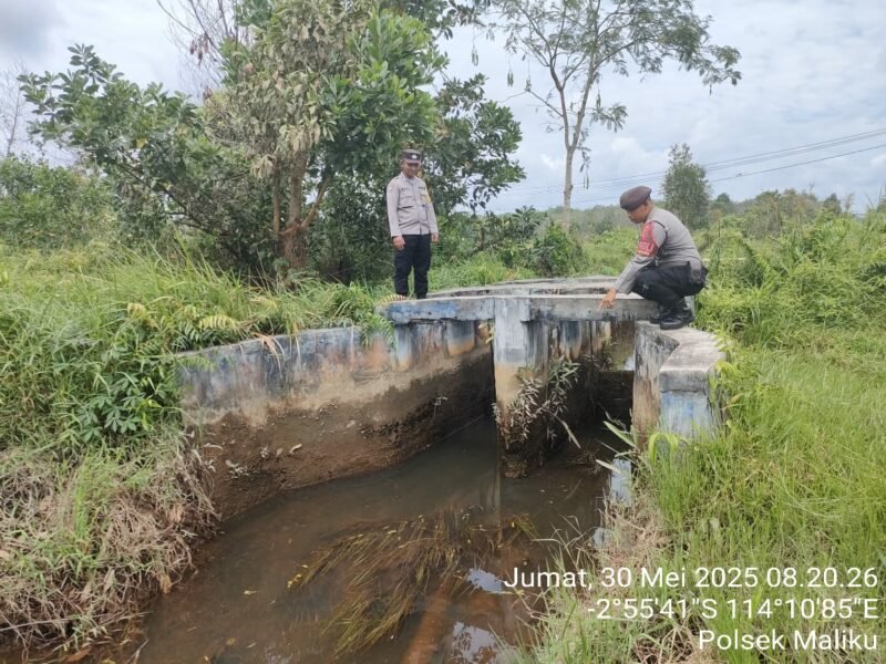 Siaga Bencana Karhutla Kegiatan, Pengecekan Kondisi Sekat Kanal rutin dilaksanakan di Wilkum Polsek Maliku