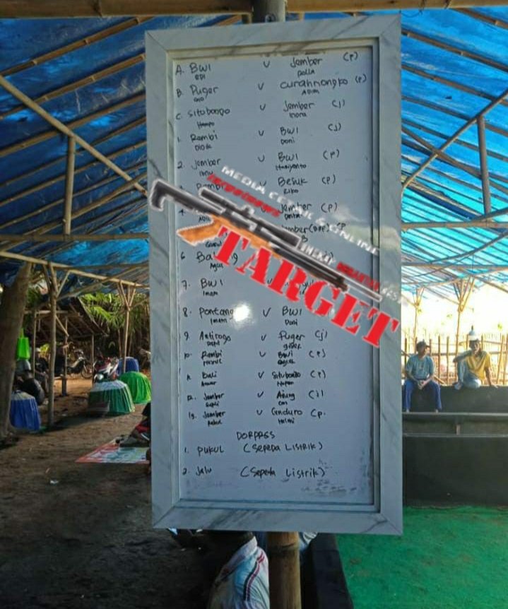 Kapolda Jatim dan Denpom Harus tindak Tegas Oknum Anggota TNI yang Terlibat 5 titik Lokasi Judi Sabung Ayam Daerah Jember