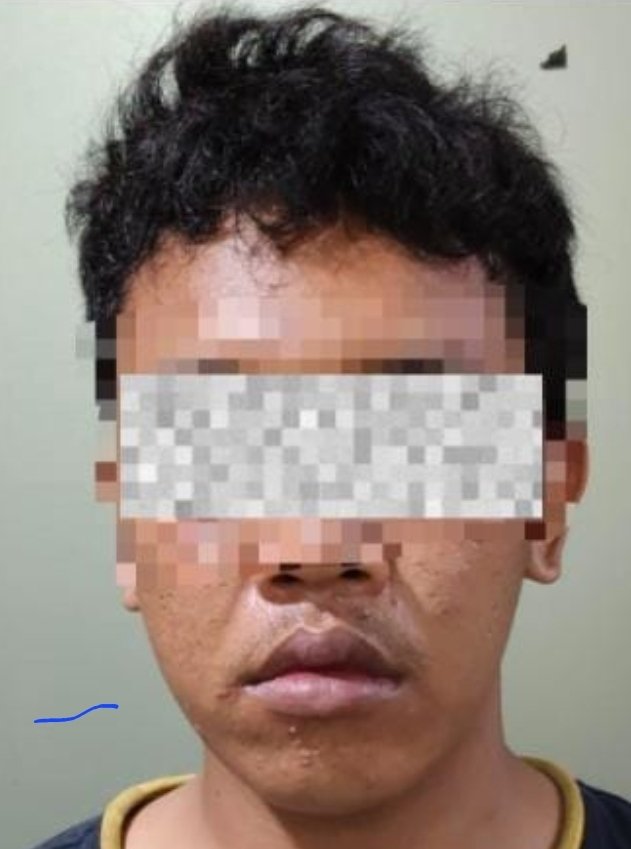 Pelaku Penusukan Pesilat, Sempat Buron 8 Bulan Akhirnya Diringkus di Bali