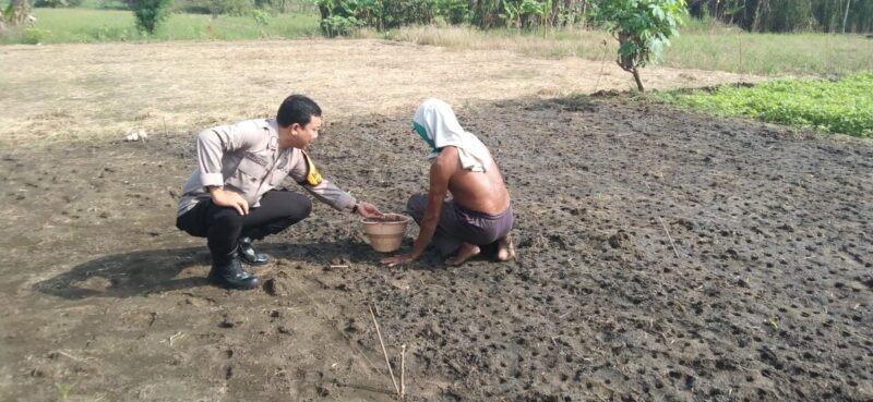 Polsek Sidoarjo Kota Lakukan Pengecekan Lahan Ketahanan Pangan di Kelurahan Sidokumpul