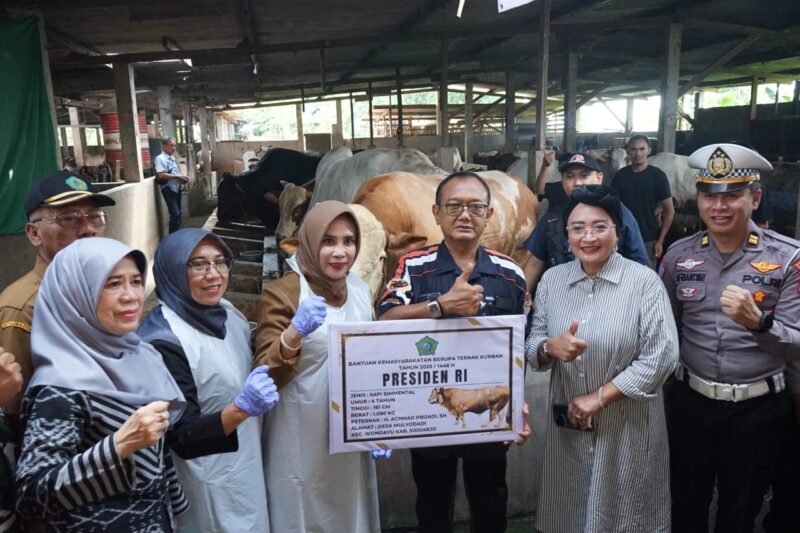 Kabupaten Sidoarjo Terima Satu Ekor Sapi Seberat 1,08 Ton dari Presiden Prabowo Subianto