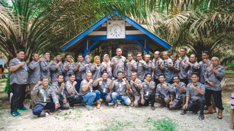 Ratusan Petani Mitra, PTPN IV PalmCo Segera Kantongi Sertifikasi RSPO