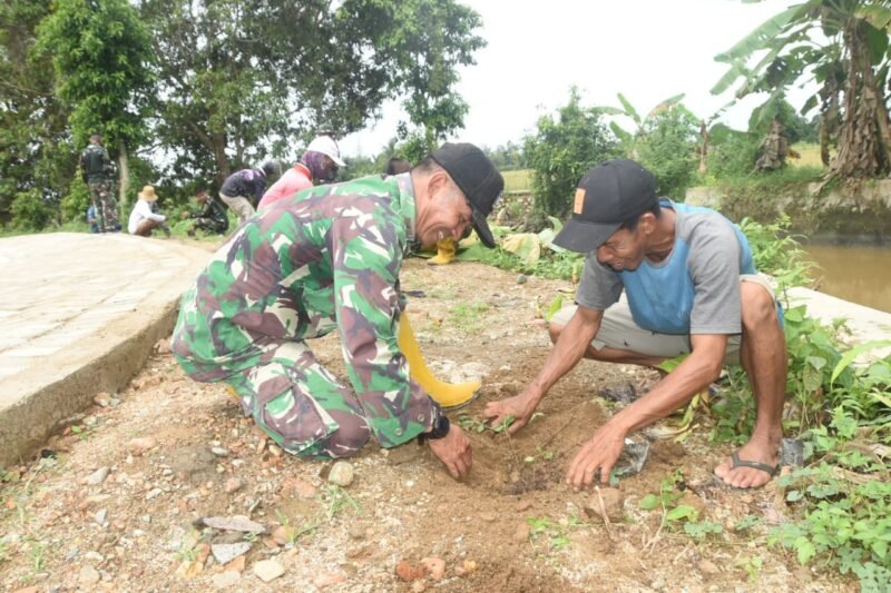 Hijaukan Bumi, Satgas TMMD ke-124 Kodim 1002/HST Gencarkan Penanaman Pohon di Haruyan