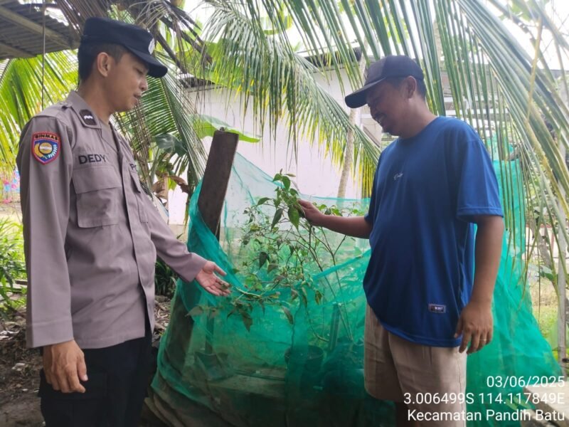 Bhabinkamtibmas Desa Dandang Sambangi Masyarakat Desa Binaan sekaligus Sisipkan Pesan Kamtibmas terkait pemanpaatan perkarangan Untuk Menanam Tanaman Pangan Bergizi