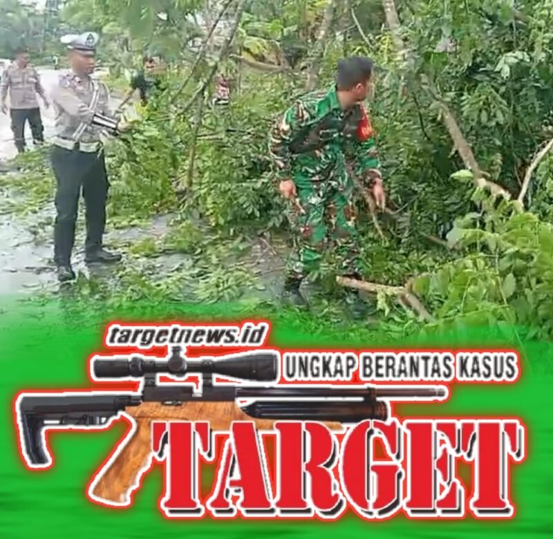 Sinergi TNI-Polri dan Warga Evakuasi Pohon Tumbang di Jalan Medan Banda Aceh