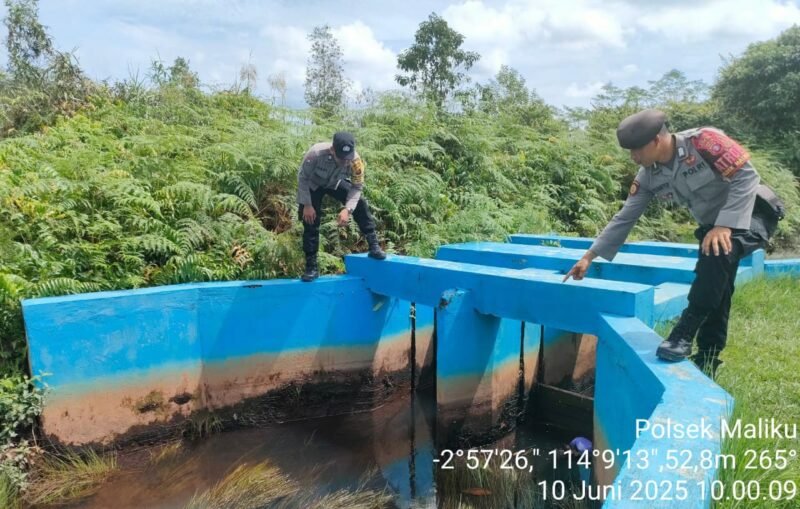 Polsek Maliku Melaksanakan Patroli dilokasi Daerah Rawan Karhutla dengan Melakukan Pengecekan Sekat Kanal