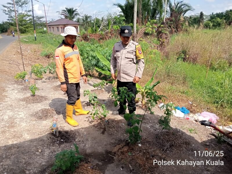 Giat dukungan terhadap program pemerintah Pusat tentang Ketahanan Pangan