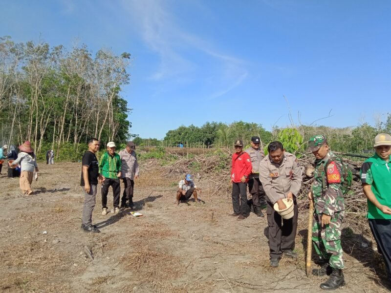 Sinergi TNI-Polri dalam Pertanian: Babinsa dan Bhabinkamtibmas Tanam Jagung di Tabalong