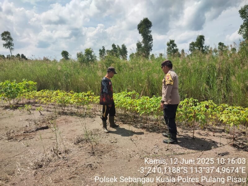 Giat dukungan terhadap program pemerintah Pusat, tentang Ketahanan Pangan