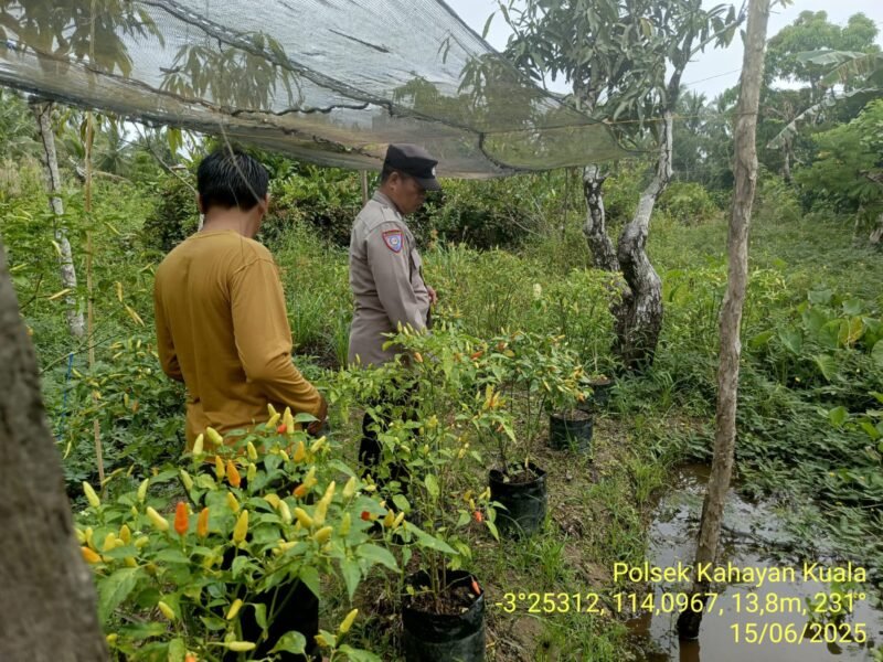 Giat dukungan terhadap program, pemerintah Pusat tentang Ketahanan Pangan