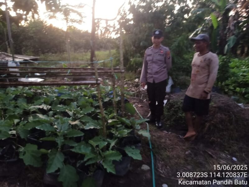 Bhabinkamtibmas Desa Dandang Sambangi Masyarakat Desa Binaan sekaligus Sisipkan Pesan Kamtibmas terkait pemanpaatan perkarangan Untuk Menanam Tanaman Pangan Bergizi