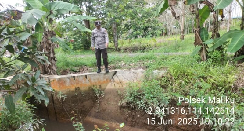 Polsek Maliku Monitoring Kondisi Sekat Kanal