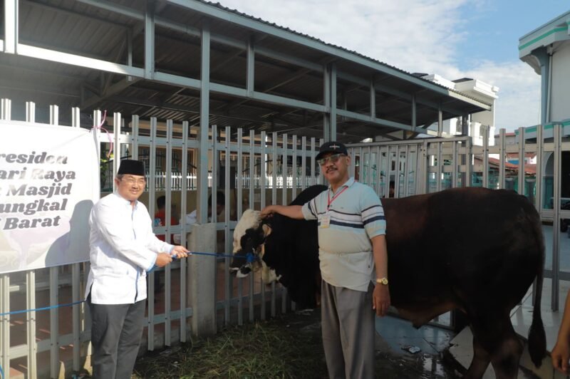 Bupati Anwar Sadat Serahkan Sapi kurban dari presiden RI Prabowo subianto ke Masjid Agung Al-Istiqomah