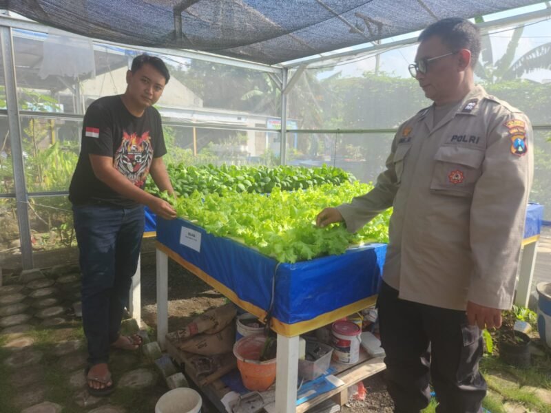 Polisi Tinjau Lahan Ketahanan Pangan Sayur Hidroponik Desa Tebel Gedangan