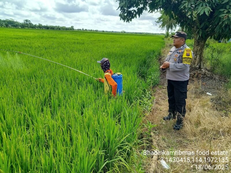 Bhabinkamtibmas Food Estate Sambangi Warga sekaligus Sisipkan Pesan Kamtibmas