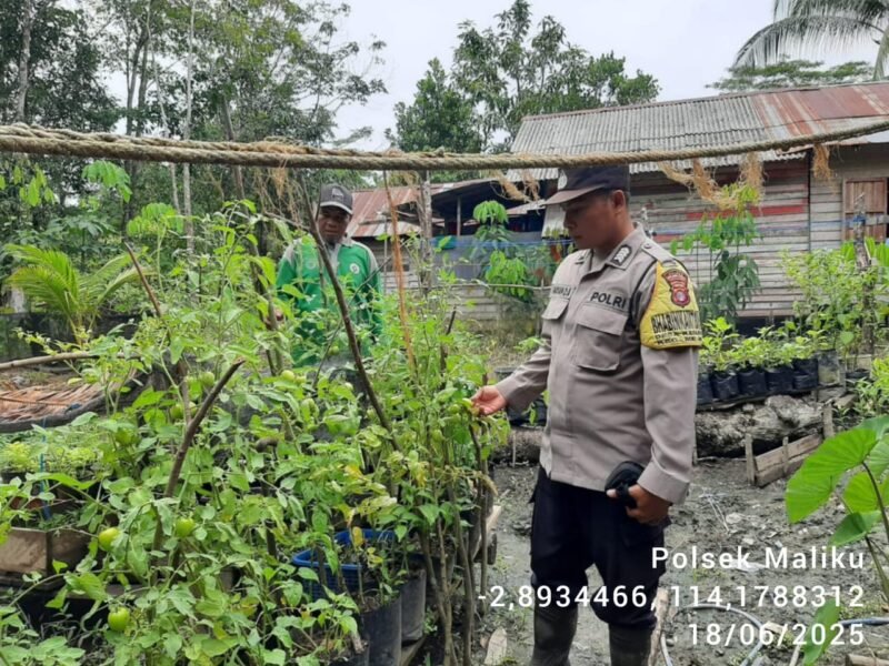 Polsek Maliku Sosialisasikan Pemanfaatan Pekarangan Pangan Bergizi untuk Masyarakat