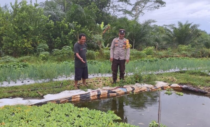Polsek Maliku Dorong Warga Tanam Sayur dan Budidaya Ikan dari Pekarangan Rumah