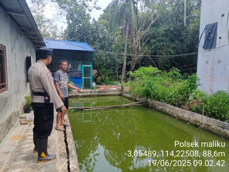 Polisi Penggerak Ketahanan Pangan Polsek Maliku Kunjungi Masyarakat untuk Sampaikan Program Pekarangan Bergizi