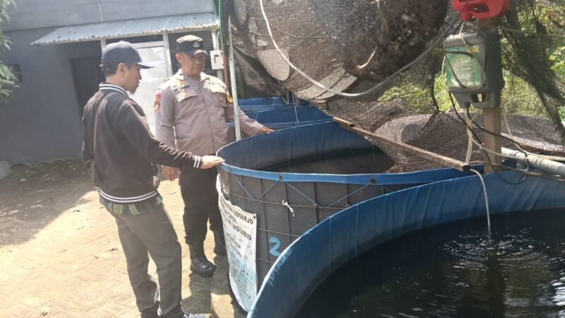 Bhabinkamtibmas Desa Balonggabus Tinjau Ketahanan Pangan Lewat Budidaya Ikan Lele