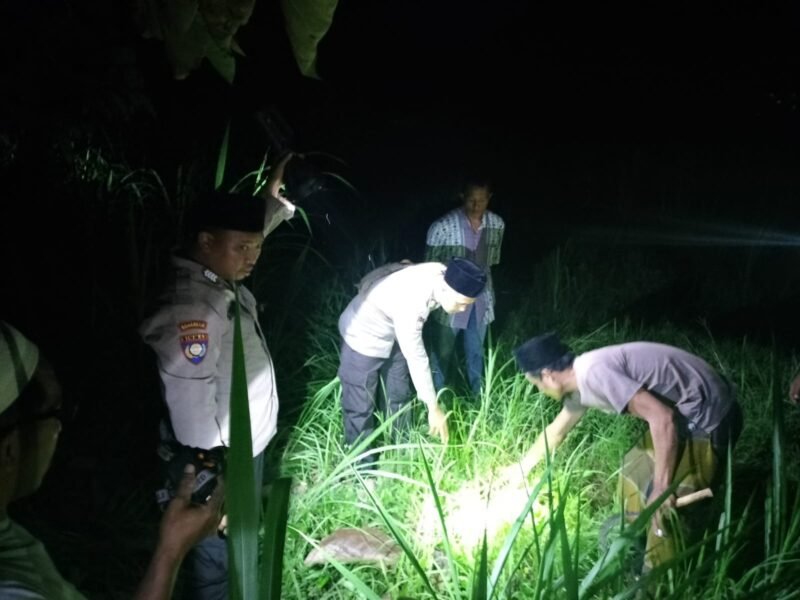 Geger Warga Penemuan, Bayi diladang Polisi Evakuasi ke RSU Terdekat