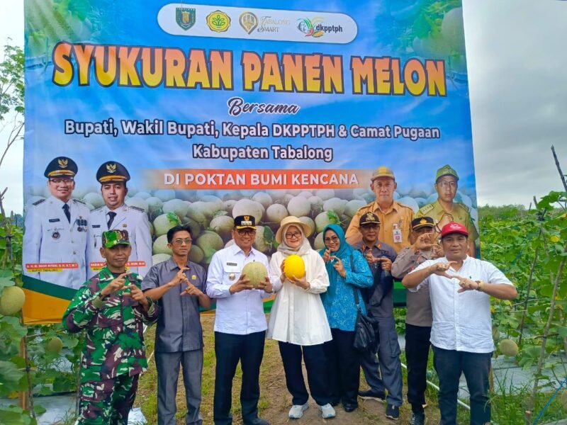 Danramil 1008-06/Banua Lawas-Pugaan Hadiri Syukuran Panen Melon di Pugaan