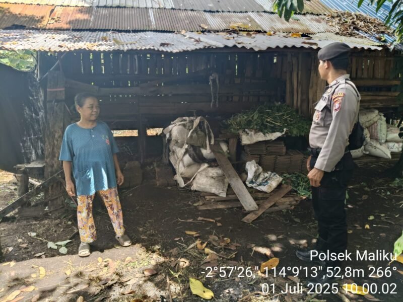 Sosialisasi Program, Pekarangan Pangan Bergizi untuk Masyarakat di Wilkum Polsek Maliku