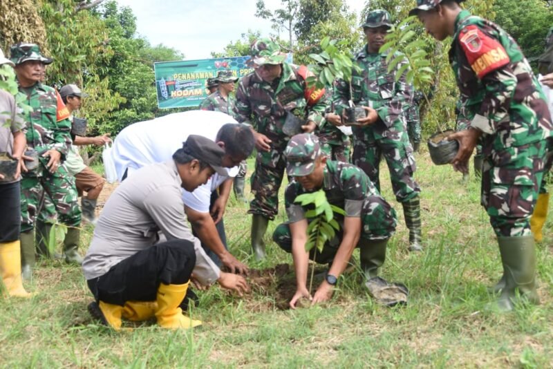Kodim 1002/Hulu Sungai Tengah Tanam 200 Pohon Sambut HUT ke-67 Kodam VI/Mulawarman