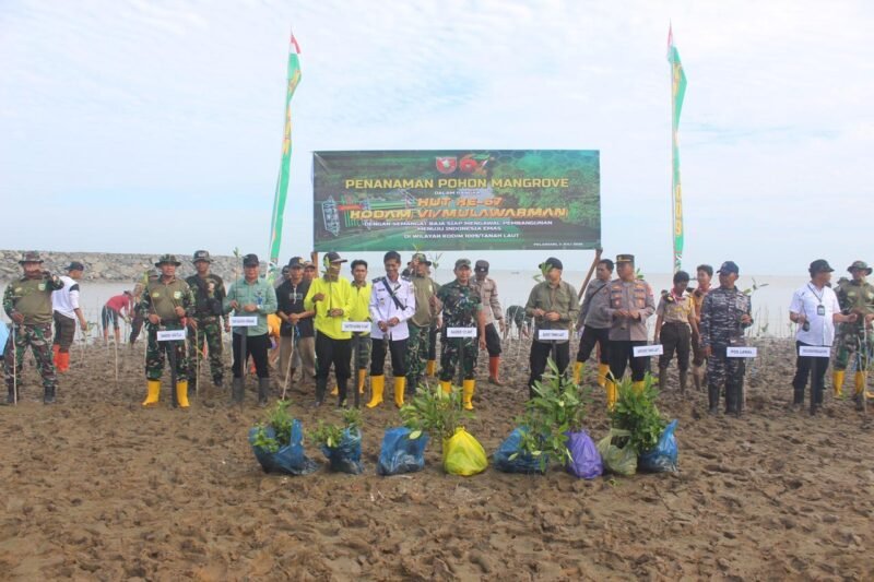 Mencegah Abrasi, Di Pesisir Pantai Kodim 1009/Tla Melaksanakan Penanaman Pohon Mangrove