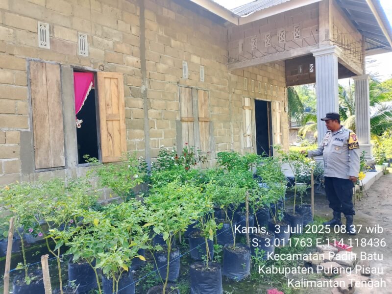 Bhabinkamtibmas Desa Dandang Sambangi Masyarakat Desa Binaan sekaligus Sisipkan Pesan Kamtibmas terkait pemanpaatan perkarangan Untuk Menanam Tanaman Pangan Bergizi