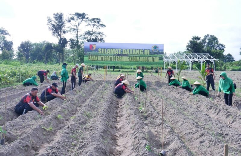 Pematangan Lahan Siap, Kodim 0808/Blitar Tanam Bibit Di Lahan Integrated Farming Desa Dandong