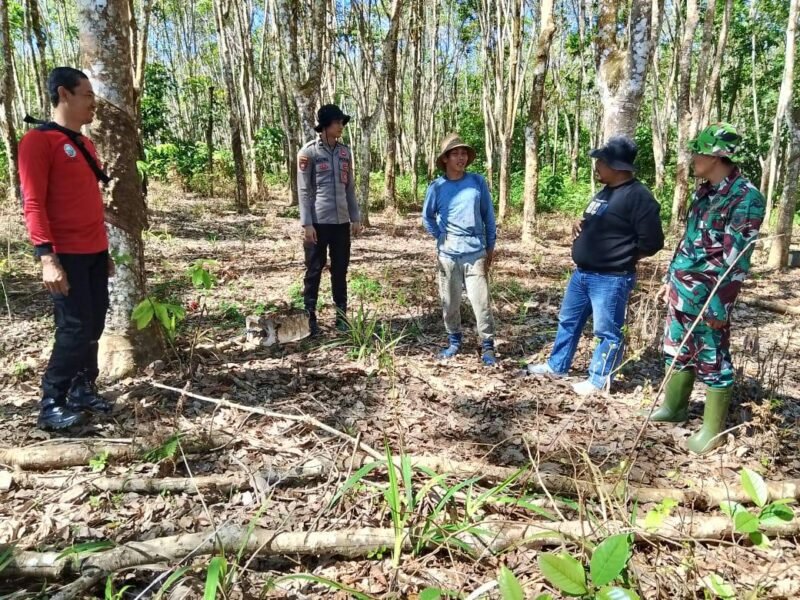 Melalui Komsos Personel Kodim 1009/Tanah Laut juga Mensosialisasikan Pencegahan Karhutla