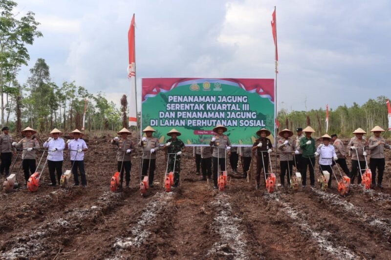 Ketahanan Pangan Jadi Prioritas, Kapolda Kalteng Didampingi Kapolres Pulang Pisau Hadiri Penanaman Jagung Serentak Quartal III