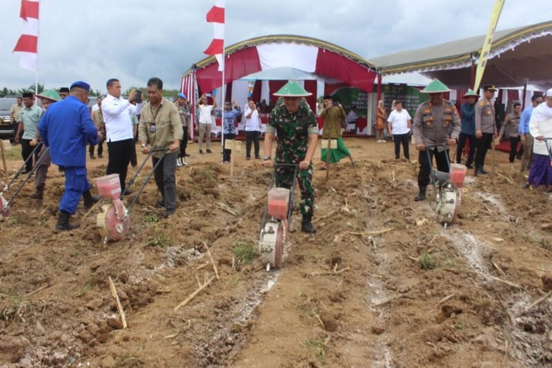 Dandim 1009/Tla Hadiri Penanaman Jagung Serentak Kuartal III Oleh Polres Tanah Laut