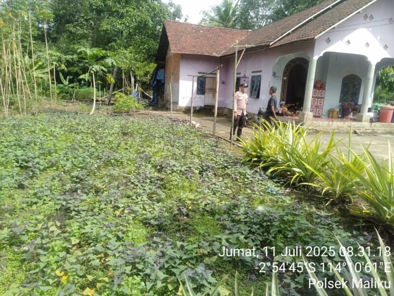 Mengunjungi Warga Masyarakat, Polisi Penggerak Ketahanan Pangan Polsek Maliku Sampaikan Program Pekarangan Bergizi