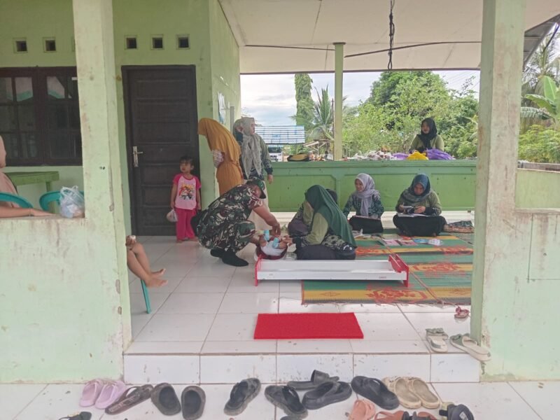 Bantu Kelancaran Kegiatan Posyandu Personel Kodim 1009/Tla Dampingi Petugas Di Puskesmas