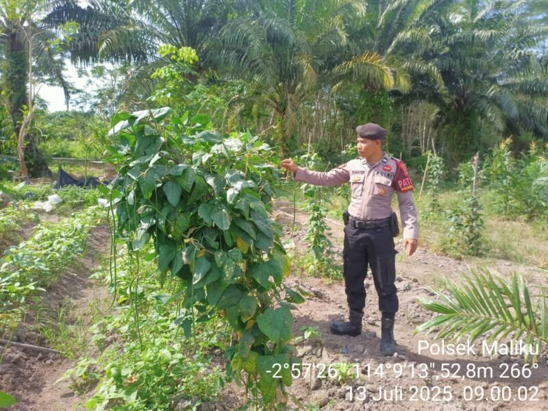 Polsek Maliku Rangkul Masyarakat untuk Manfaatkan Pekarangan Menjadi Pekarangan Pangan Bergizi