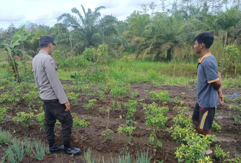 BHABINKAMTIBMAS SAMBANG KEPETANI SAMPAIKAN PESAN-PESAN KAMTIBMAS DI WILAYAH KECAMATAN KAHAYAN HILIR
