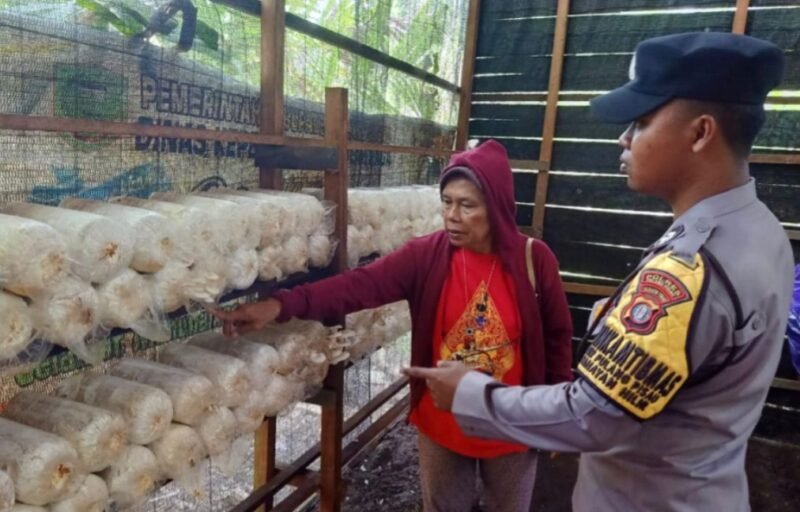 Bhabinkamtibmas Polsek Kahayan Hilir, Apresiasi Warga Manfaatkan Pekarangan Jadi Lahan Produktif