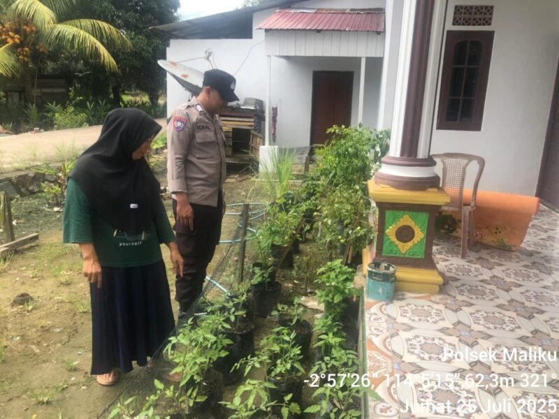 Polisi Penggerak Polsek Maliku Sosialisasikan Program Pemanfaatan Pekarangan Pangan Bergizi.